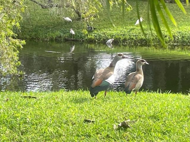 Coastal Townhome In Jupiter 1 Mile To Beach! Luaran gambar